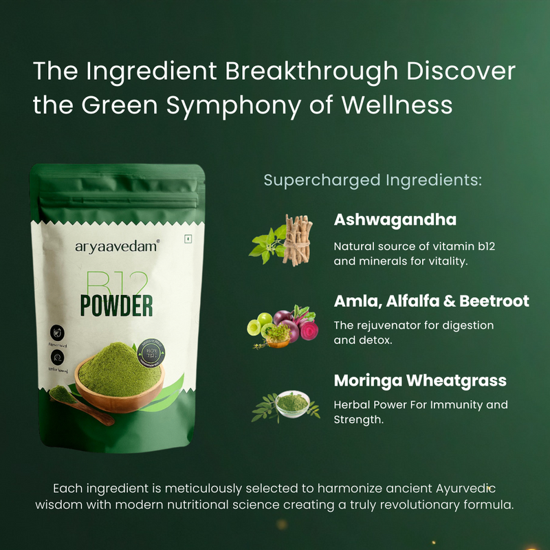 Aryavedam Combo Pack β B12 Powder + Super Wellness Powder | Plant-Based Daily Wellness Support (2 x 200g)