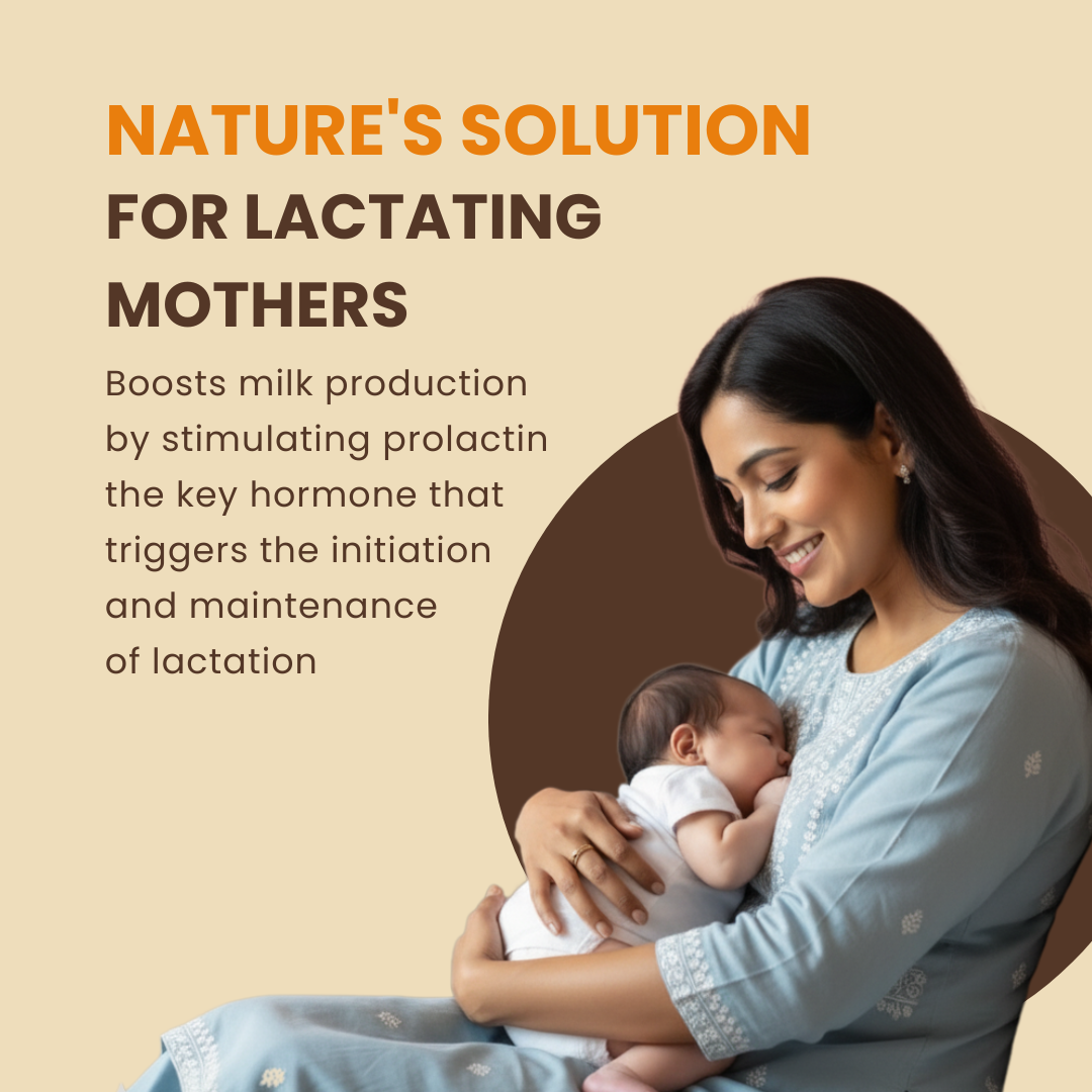 Aryavedam Shatavari Capsules | Natural Hormonal Balance & Women’s Wellness (60 Capsules) Plant-Based Support for Hormonal Health, Vitality & Reproductive Strength